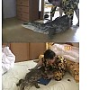 썸네일-전설의 부산 3대 드루이드-이미지