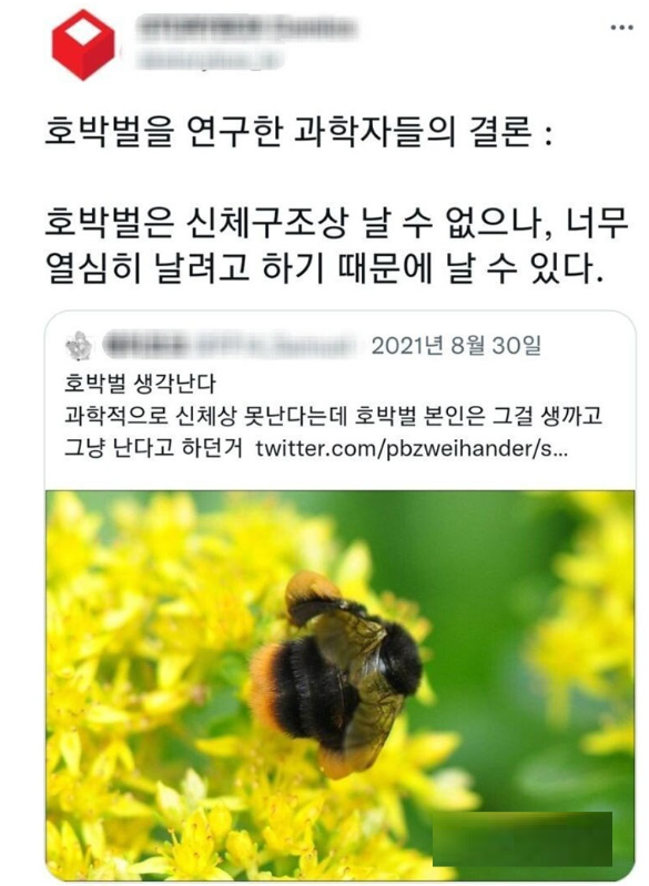 nokbeon.net-곤충들 중 귀여움류 1티어.jpg-3번 이미지