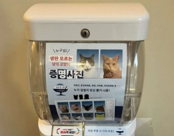nokbeon.net-아 이게 뭐야 완전 웃겨.jpg-2번 이미지