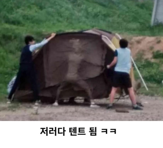 nokbeon.net-캠핑 온 중딩들.jpg-13번 이미지