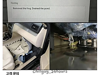 썸네일-차를 가속/감속할 때마다 개구리 소리가 나요.jpg-이미지