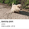 썸네일-나도 같이 가면 안 될까.jpg-이미지