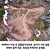 썸네일-고민이 많아 보였던 공룡의 발자국.jpg-이미지