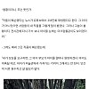 썸네일-초딩이 작품 훼손하자 70대 화백의 반응-이미지