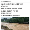 썸네일-물난리에도 해학이 넘치는 충청도인.jpg-이미지