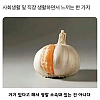 썸네일-사회생활하면서 느낀 거.jpg-이미지