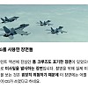썸네일-톰 크루즈도 포기한 탑건 cg 장면-이미지