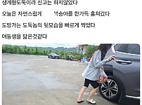 썸네일-집안 살림 훔쳐 가는 도둑 박제함.jpg-이미지