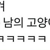 썸네일-아 이게 뭐야 완전 웃겨.jpg-이미지