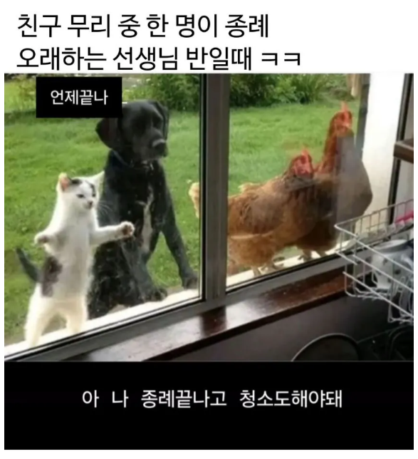nokbeon.net-중고등학교 시절이 생각나는 짤.jpg-1번 이미지