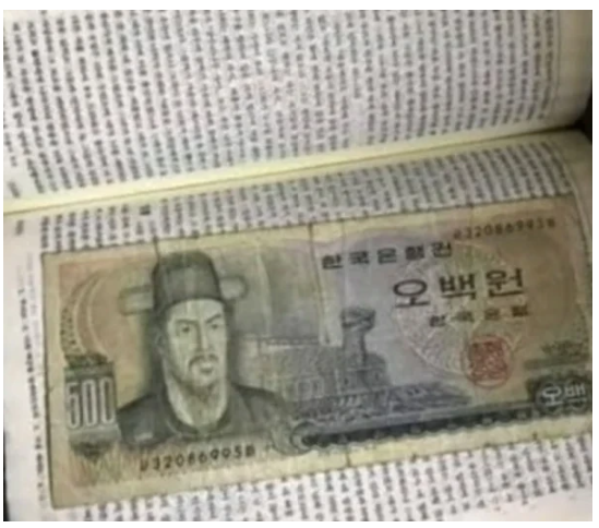 nokbeon.net-잊고 있던 비상금 발견.jpg-2번 이미지