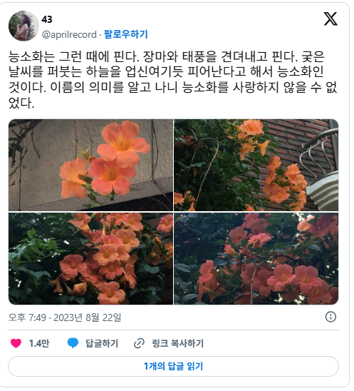 nokbeon.net-미친 여름을 미화 시키는 주범 중 하나.twt-17번 이미지