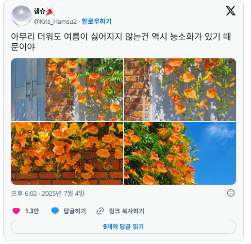nokbeon.net-미친 여름을 미화 시키는 주범 중 하나.twt-12번 이미지