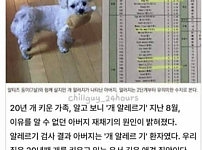 썸네일-20년간 애완견 키운 가족의 반전.jpg-이미지