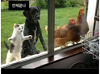 썸네일-중고등학교 시절이 생각나는 짤.jpg-이미지