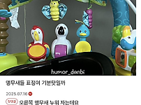썸네일-아기 키우는 집 왔는데 장난감도 지쳐보여.jpg-이미지