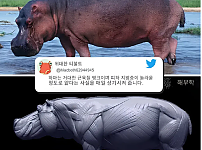 썸네일-하마의 진실...jpg-이미지