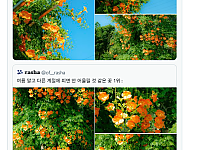 썸네일-미친 여름을 미화 시키는 주범 중 하나.twt-이미지