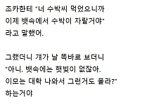 썸네일-이모 : 너 이제 뱃속에 수박 자란다 ㅋㅋ.jpg-이미지