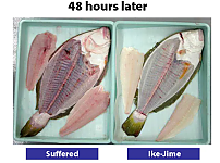 썸네일-생선의 피를 안 빼면 벌어지는 일. jpg-이미지