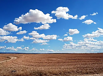 썸네일-손주들의 할머니 할아버지 집 인식 변화. jpg-이미지