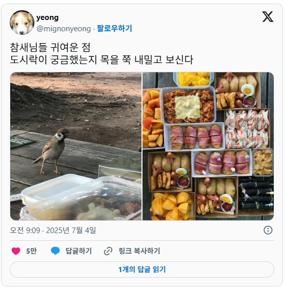 nokbeon.net-도시락이 궁금했던 참새.jpg-1번 이미지