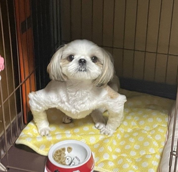 nokbeon.net-오셨슴까. 식사 하셧슴까. 합석 하시겠슴까.jpg-1번 이미지