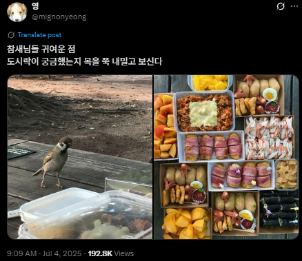 nokbeon.net-도시락이 궁금했던 참새.jpg-2번 이미지