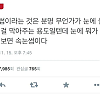 썸네일-속눈썹은 막아주는 용도일 텐데.jpg-이미지