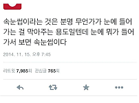 썸네일-속눈썹은 막아주는 용도일 텐데.jpg-이미지