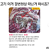 썸네일-고기 이거 갈변현상 아닌거 아시죠?-이미지