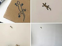 썸네일-고냥이들 집합 시키는 방법.jpg-이미지