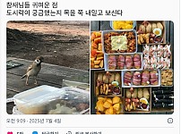 썸네일-도시락이 궁금했던 참새.jpg-이미지