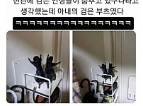 썸네일-현관에서 춤추는 검은 인형.jpg-이미지