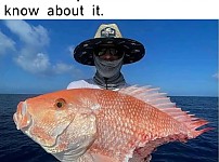 썸네일-로또에 당첨됐는데 세금 공제 당함.jpg-이미지