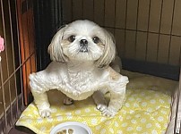 썸네일-오셨슴까. 식사 하셧슴까. 합석 하시겠슴까.jpg-이미지