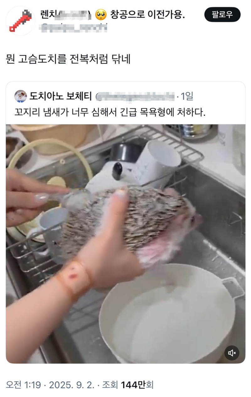 nokbeon.net-뭔 고슴도치를 전복처럼 닦네.twt-2번 이미지