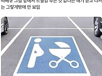 썸네일-임산부와 유모차를 위한 배려석인데.jpg-이미지