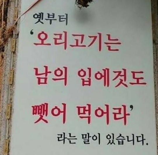 nokbeon.net-아니 무슨 그런 말이 다 있어요.jpg-1번 이미지
