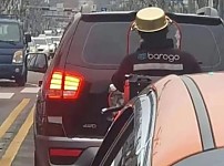 썸네일-잡힐까요?.jpg-이미지