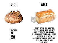 썸네일-현대인들의 건강이 박살난 이유.jpg-이미지