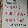 썸네일-아니 무슨 그런 말이 다 있어요.jpg-이미지