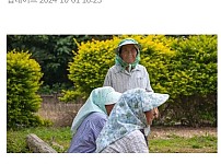 썸네일-일본 장수마을의 장수비결-이미지