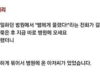 썸네일-예전에 일하던 병원에서 "뱀에게 물렸다"라는 전화 걸려와서..jpg-이미지