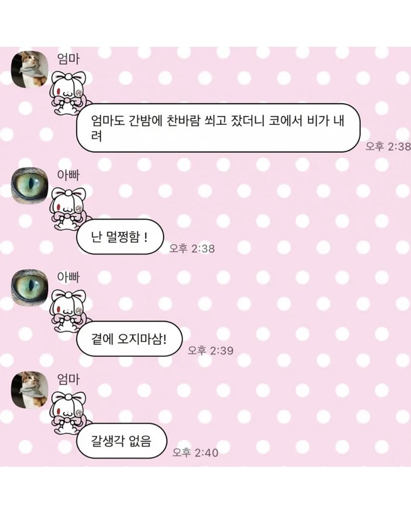nokbeon.net-화목한 가족들 단톡방 모음.jpg-8번 이미지
