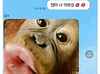 썸네일-화목한 가족들 단톡방 모음.jpg-이미지