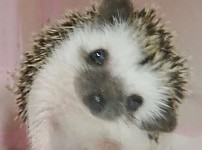 썸네일-이해가 가지 않는 속담.jpg-이미지