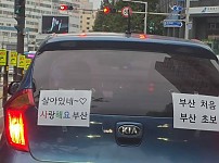 썸네일-살면서 부산에 처음 간 운전자-이미지