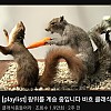 썸네일-웃긴 썸네일 발견함.jpg-이미지