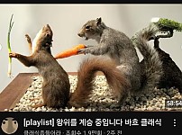 썸네일-웃긴 썸네일 발견함.jpg-이미지